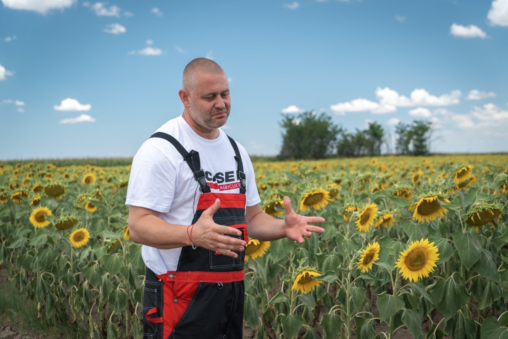 case-ih-Nikolay-Tsenkov-farmer-harvest